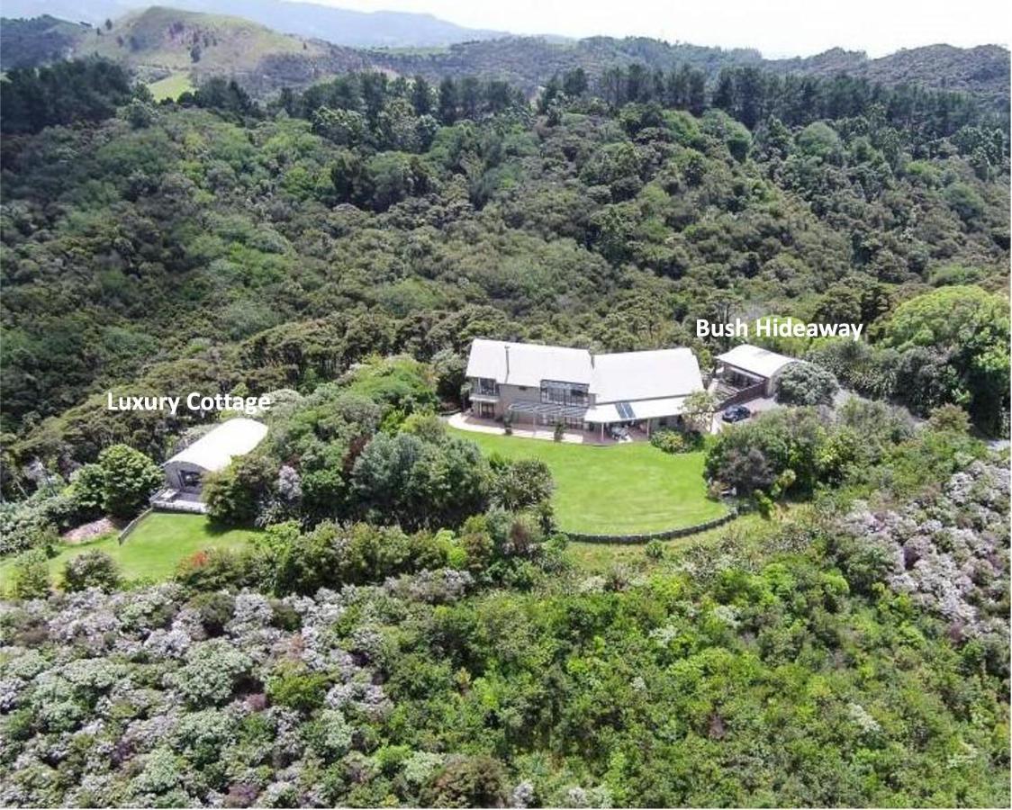 Апартаменти Kaka Ridge Retreat Bush Hideaway Tawharanui Екстер'єр фото